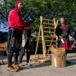 Cvikovsk� Ostrve 2015