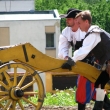 D���nsk� slavnosti 23.5.2009